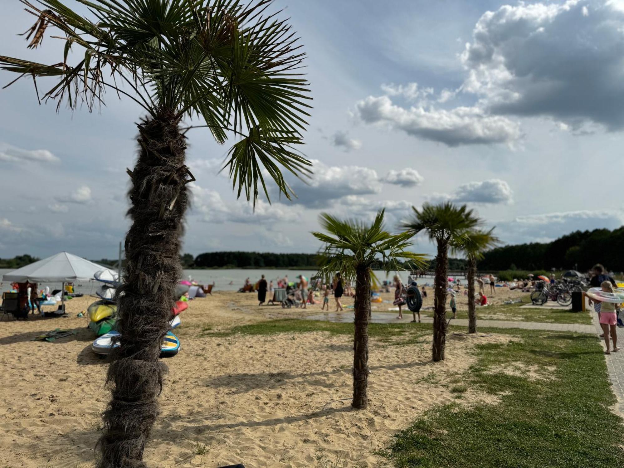 Apartament Nad Zalewem Zamość Zewnętrze zdjęcie
